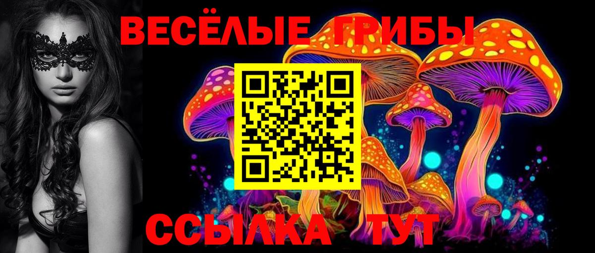 Бахчисарай  купить наркотик  Вход с VPN  Галлюциногенные грибы мухоморы 